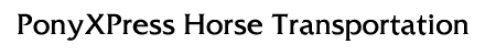 PonyX Logo